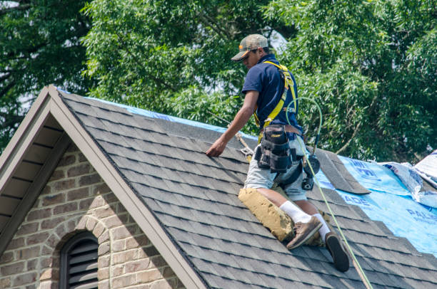 Roof Gutter Cleaning in Radford, VA
